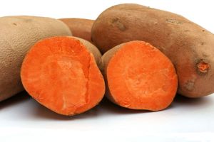 sweet potatoes in grain free dog food